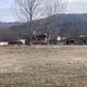 vintila-voda-buzau
