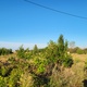 ramnicu-sarat-buzau